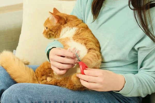 Young Woman Cutting Cat Claws Home Closeup — Stock Photo, Image