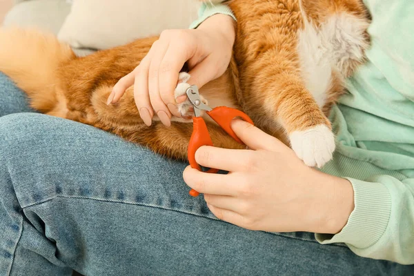 Young Woman Cutting Cat Claws Closeup — Stock Photo, Image