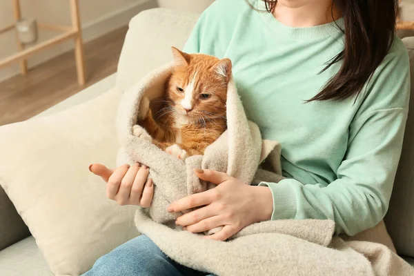 Young Woman Cute Cat Sitting Sofa Home Closeup — Stock Photo, Image