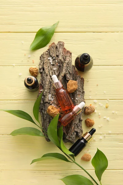 Flaskor Med Naturligt Serum Stenar Träd Bark Och Blad Växt — Stockfoto