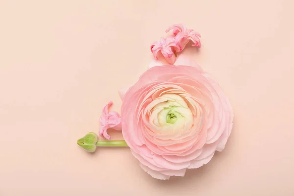 Brotes Hermosas Flores Sobre Fondo Rosa — Foto de Stock