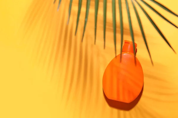 Crema Protector Solar Hoja Palma Sobre Fondo Color —  Fotos de Stock