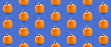 Mavi arka planda bir sürü taze bal kabağı. Tasarım için desen