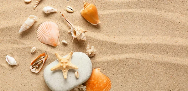Many Different Sea Shells Starfish Beach Sand Space Text — Stock Photo, Image