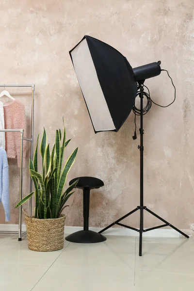 Lighting equipment, chair and houseplant in modern photo studio