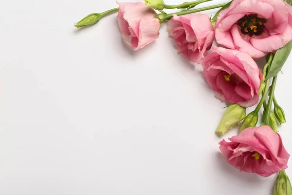 Аромат Красивых Розовых Цветов Эустомы Белом Фоне — стоковое фото