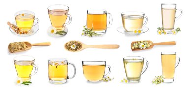 Sağlıklı papatya çayı seti beyaz üzerine izole edilmiş. 