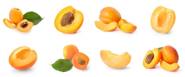 Set Sweet Tasty Apricots Isolated White — Stock Photo, Image