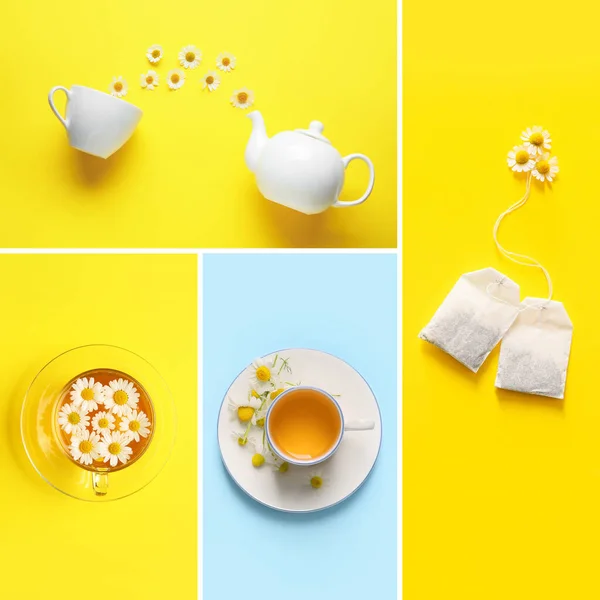 Kolaż Zdrową Herbatą Rumiankową Tle Koloru — Zdjęcie stockowe
