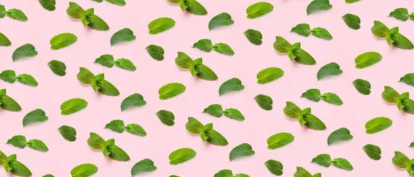 Many Mint Leaves Light Pink Background Pattern Design — Stock Photo, Image