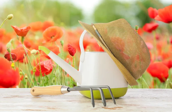 Gartengeräte Auf Dem Tisch Mohnfeld — Stockfoto