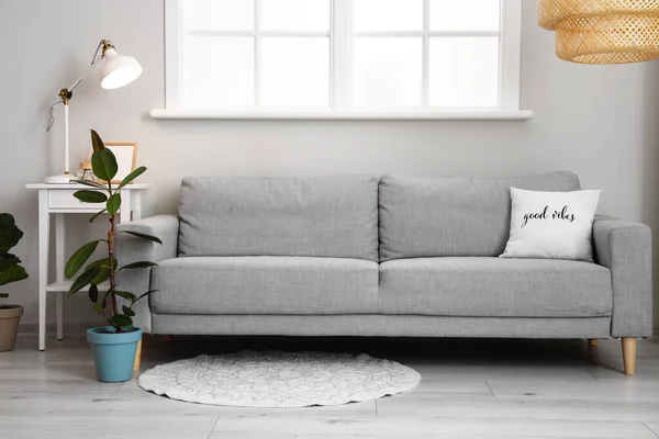 Interior Modern Living Room Comfortable Sofa Lamp Houseplant — Stock Photo, Image