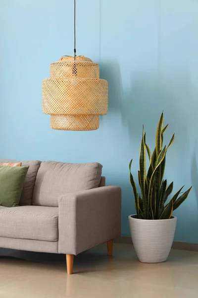 Wygodna Sofa Lampa Roślina Pobliżu Niebieskiej Ściany — Zdjęcie stockowe