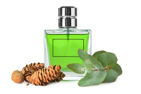 Butelka Aromatycznych Perfum Szyszki Sosnowe Gałąź Eukaliptusowa Białym Tle — Zdjęcie stockowe