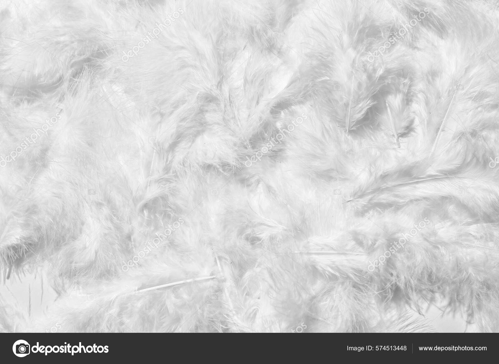 Beautiful White Feathers Background Stock Photo by ©serezniy 574513448
