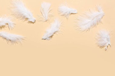 Sarı arka planda güzel tüyler