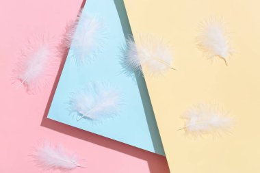 Renk arkaplanındaki beyaz tüyler