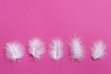Pembe arka planda bir sürü beyaz tüy