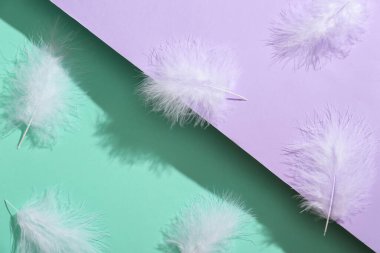 Renkli arkaplanda güzel beyaz tüyler, yakın plan