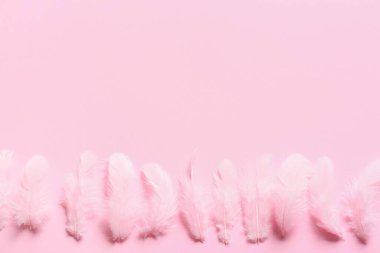 Renkli arkaplanda güzel pembe tüyler