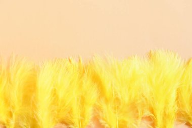 Renkli arkaplanda güzel sarı tüyler