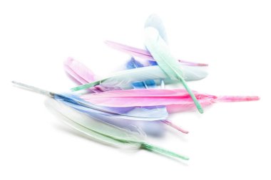 Beyaz arka planda farklı güzel tüyler