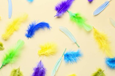 Renkli arkaplanda güzel parlak tüyler