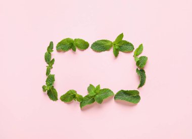 Pembe arkaplandaki nane yapraklarından yapılmış çerçeve