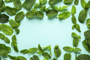 Turkuaz arka planda nane yapraklarından yapılmış çerçeve
