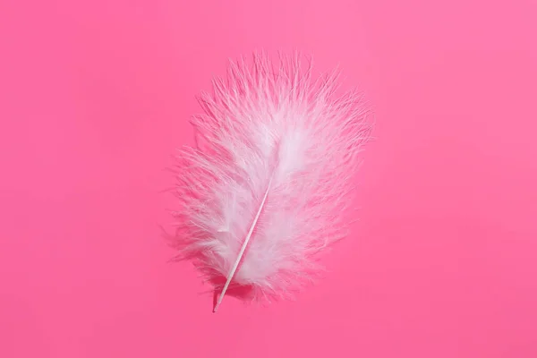 Soft White Feather Pink Background — Stock Photo, Image