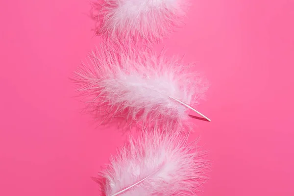 Beautiful White Feathers Pink Background Closeup — Stock Photo, Image