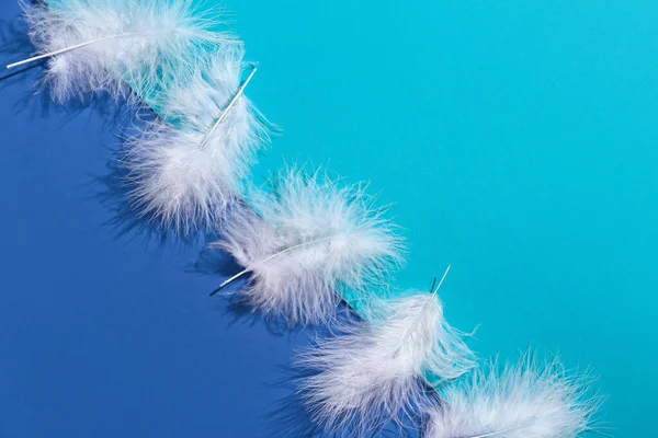 Beautiful White Feathers Blue Background — Stock Photo, Image