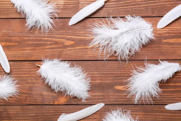 Beautiful White Feathers Wooden Background — Stock Photo, Image