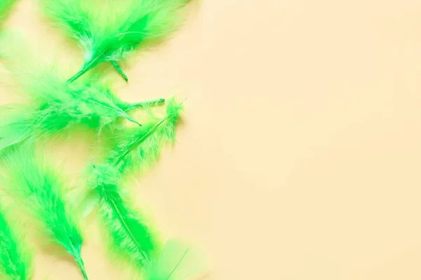 Beautiful Green Feathers Color Background — Stock Photo, Image