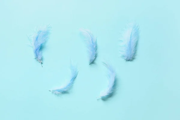 Vackra Blå Fjädrar Färg Bakgrund — Stockfoto