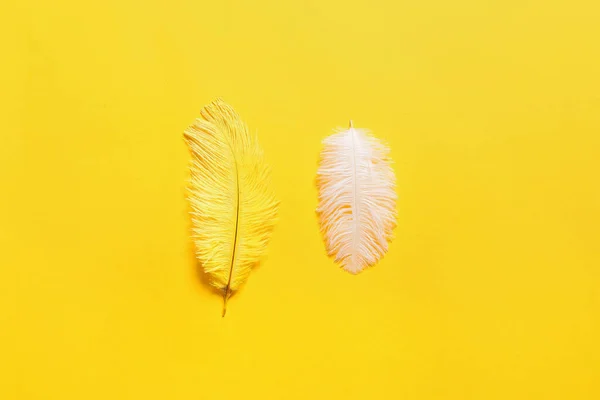 Beautiful Feathers Yellow Background — Stock Photo, Image