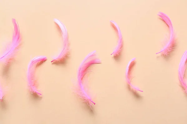 Beautiful Pink Feathers Color Background — Stock Photo, Image