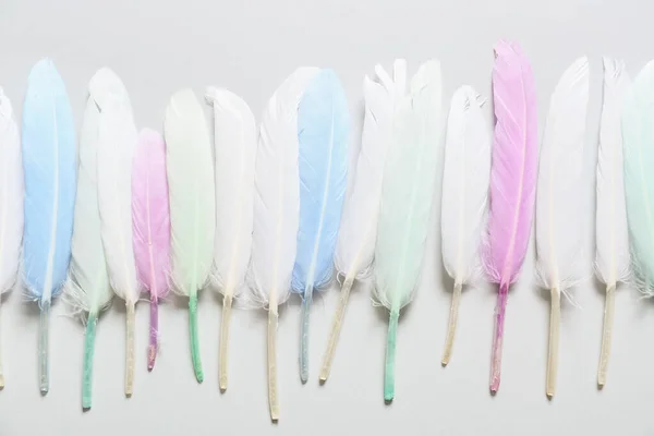 Beautiful Feathers Light Background — Stock Photo, Image