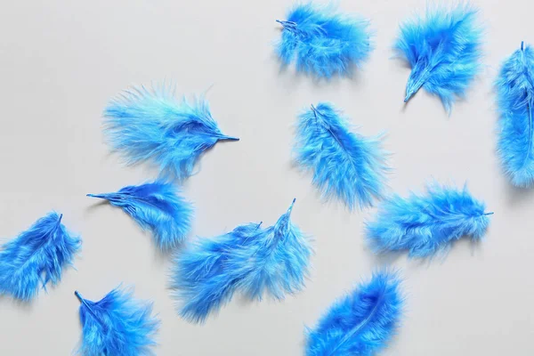 Beautiful Blue Feathers Light Background — Stock Photo, Image