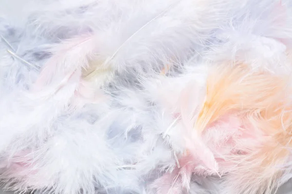 Beautiful Light Feathers Background — Stock Photo, Image