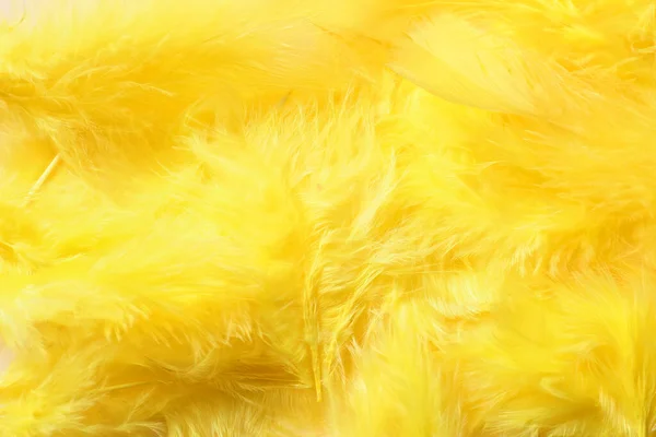 Beautiful Yellow Feathers Background — Stock Photo, Image