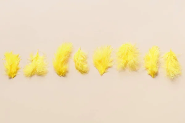 Beautiful Yellow Feathers Light Background — Stock Photo, Image