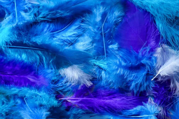 Beautiful Blue Feathers Background — Stock Photo, Image