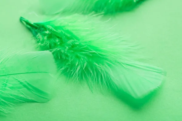 Beautiful Green Feathers Color Background — Stock Photo, Image