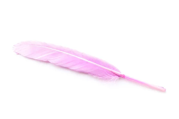 Beautiful Pink Feather White Background — ストック写真