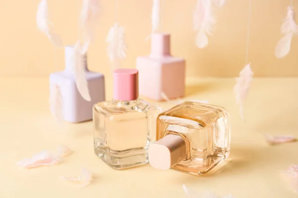 Beautiful Feathers Bottles Perfumes Color Background — Stock Photo, Image