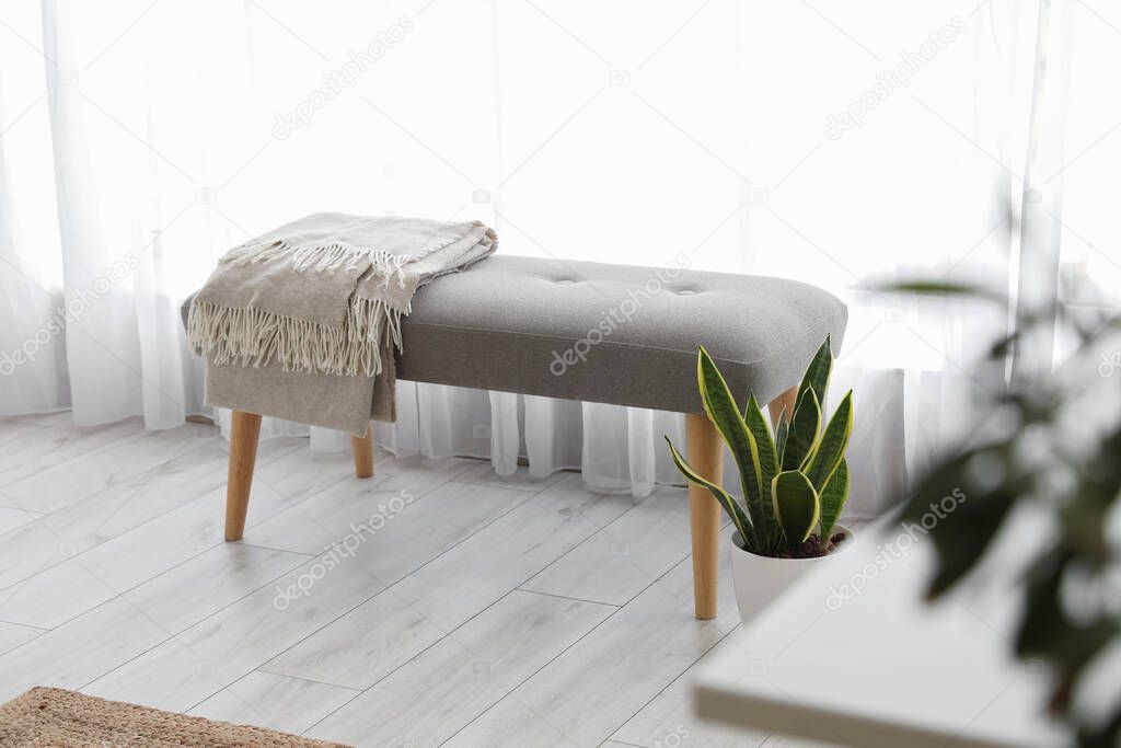 Soft bench with plaid and houseplant near light curtain in bathroom