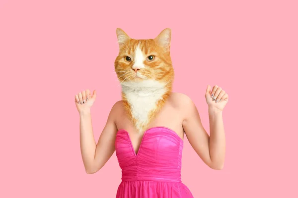 ピンクの背景に人間の体を持つファッショナブルな猫 — ストック写真