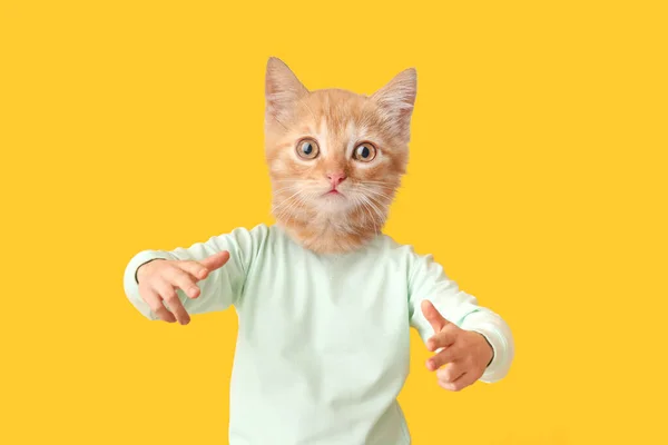 Αστεία Γάτα Ανθρώπινο Σώμα Κίτρινο Φόντο — Φωτογραφία Αρχείου