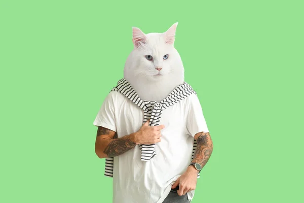 Fluffy cat with tattooed human body on green background